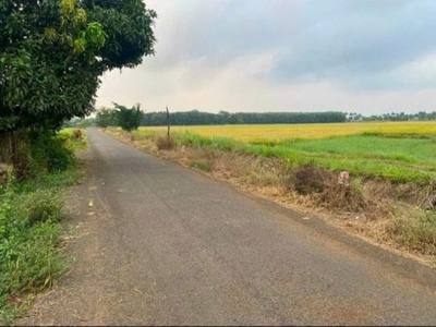 5.5 xào đất ruộng long tân, giáp long phước gần cầu khánh vân 0