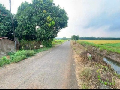 5.5 xào đất ruộng long tân, giáp long phước gần cầu khánh vân 1