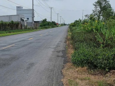Đất đẹp - giá tốt - bán gấp lô đất mặt tiền nhựa tỉnh lộ 872b, xã bình tân, gò công tây, tiền giang 3