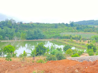 1 HÉC TA  10.000M2 , MÀ GIÁ CHỈ 11 TỶ thuộc xã n thôn hạ, đức trọng 0