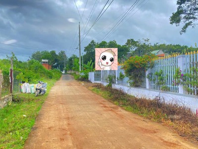 1 HÉC TA  10.000M2 , MÀ GIÁ CHỈ 11 TỶ thuộc xã n thôn hạ, đức trọng 1