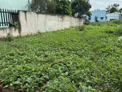 141m2 thổ cư hẻm trung tâm thị trấn Cần Giuộc giá 1,45 tỷ 1