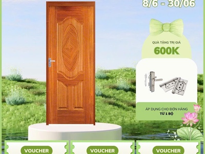 Cửa gỗ tự nhiên 1