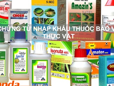 Chứng từ nhập khẩu thuốc bảo vệ Thực Vật 0