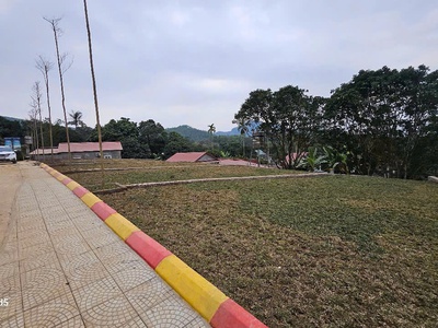 Đầu tư đất nền KCN Thanh Sơn chỉ từ 3xx/lô 0