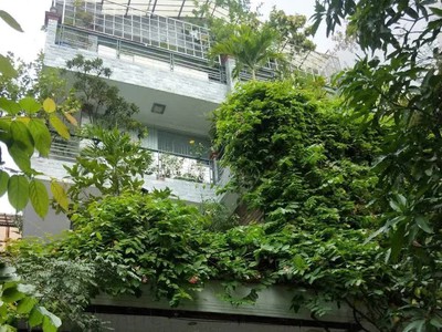 Bán biệt thự sân vườn khu vip sân bay - hxt trường sơn, phường 4, tân bình 54 tỷ tl 0