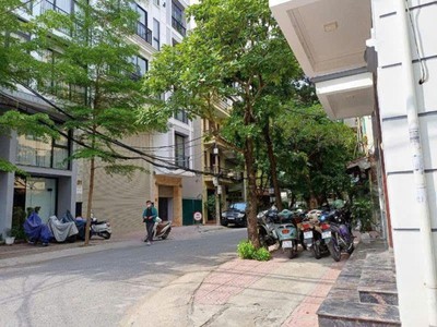 Bán nhà phan kế bính, ba đình, phân lô, 35m2, 5 tầng, mt 5.8m, chỉ 9.1 tỷ 0