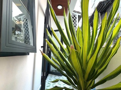 Bán nhà lê trọng tấn tân phú - 2 mặt tiền hẻm thoáng mát - 55m - full nội thất - nhỉnh 5 tỷ 4