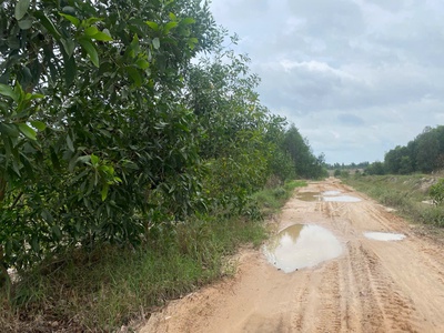 Bán 3.8 mẫu đất tân tiến - tx lagi chỉ 1.5 tỷ/ mẫu đường rộng 10m 0