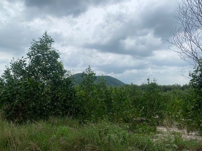 Bán 3.8 mẫu đất tân tiến - tx lagi chỉ 1.5 tỷ/ mẫu đường rộng 10m 1