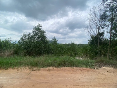 Bán 3.8 mẫu đất tân tiến - tx lagi chỉ 1.5 tỷ/ mẫu đường rộng 10m 2