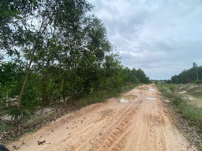 Bán 3.8 mẫu đất tân tiến - tx lagi chỉ 1.5 tỷ/ mẫu đường rộng 10m 4