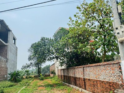 Mảnh đất trại hồ cổ đông chỉ dành cho nhà đầu tư đường thông rộng 109m nhỉnh 3ty 0