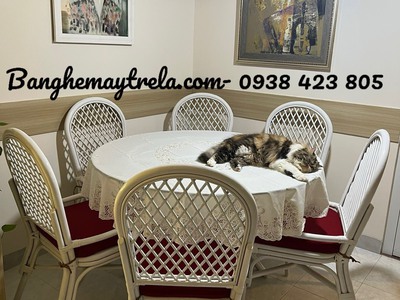 Bộ bàn ghế ăn mây hiện đại 3