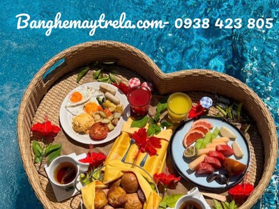 Khay mây nhựa hồ bơi 4