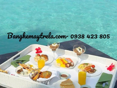 Khay mây nhựa hồ bơi 6