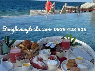Khay mây nhựa hồ bơi 7