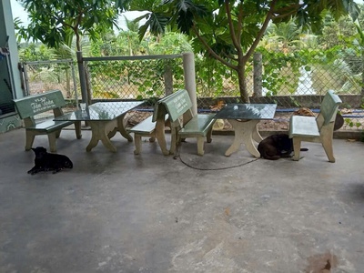 3500m2 đất vườn xã Hòa Khánh Tây, Đức Hòa giá 3,8 tỷ 5