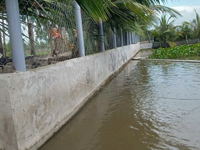 3500m2 đất vườn xã Hòa Khánh Tây, Đức Hòa giá 3,8 tỷ 6