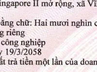 Cho thuê nhà xưởng mới 21.260 m2 trong KCN Vsip 2 Tân Uyên, Bình Dương 4