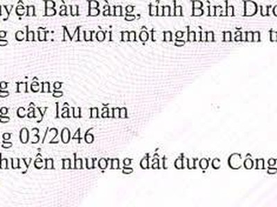 Cho thuê nhà xưởng đang xây dựng 6.221 m2 tại Long Nguyên, Bàu Bàng, Bình Dương 2