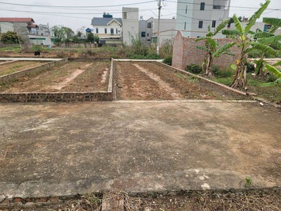2 mặt tiền 58m tổ 10 quang minh,hàng f0 giá đầu tư,ib chính chủ 1