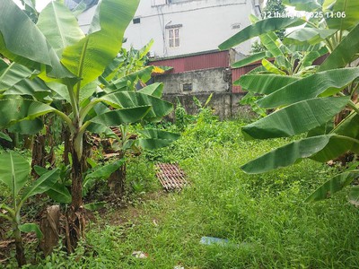 Đất đẹp hơn tờ 500. xuân canh, 100m2, mt10m, 16 tỷ, đông anh. 3