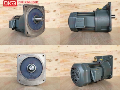Động cơ giảm tốc mặt bích wanshsin gv40-2200w-20s 0