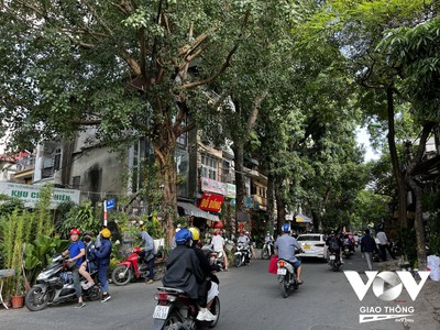 Bán nhà bưởi, ba đình, phân lô, 3 gác, 43m2, 6 tầng thang máy, chỉ 14 tỷ 0