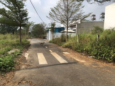 118m2 thổ cư 1 sẹc nguyễn hoàng, xã trảng bom, tỉnh đn 950 triệu 2