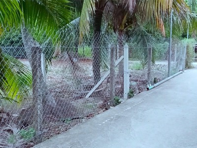 Bán lô đất đẹp mặt tiền đường an sơn 32   gần quanh đai 3   chỉ 9,2 triệu/m 3