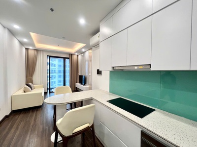 Cho thuê chung cư Hoàng Huy Commerce, 1 p.ngủ  45m2 2