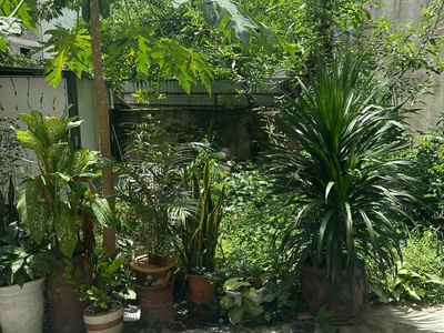 Bán 30m đất lai xá, kim chung, hoài đức, hà nội. 2