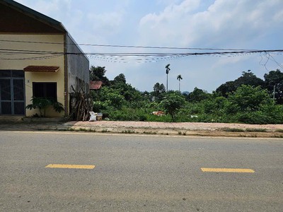 Lô đất siêu phẩm tân xã 146m full thổ đường thông ôtô xây kd giá đầu tư 2