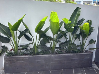 Bán nhà 3 tầng ngõ đường Nguyễn Lương Bằng, TP HD, 43.8m2, mt 7.2m, 3 ngủ, 2vs, 2.28 tỷ 6