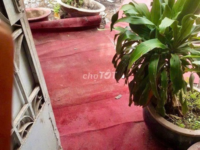 Chính chủ cho thuê nhà nguyên căn   đường Thái Thị Nhạn, P.10, Q. Tân Bình 3