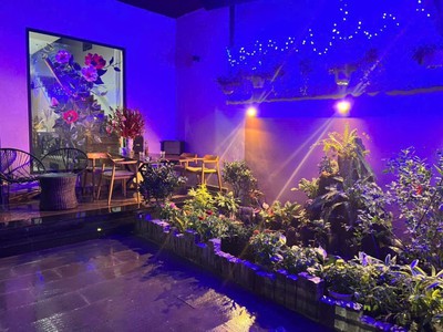 Kiệt nhựa 5.5m lê hữu trác, 150m2, ngang 6.8m, 3 tầng cực đẹp, 13.5 tỷ 1