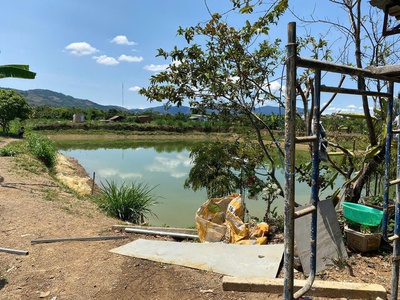 Bán đất ao tại đinh công tráng, lộc châu, bảo lộc, lâm đồng 4