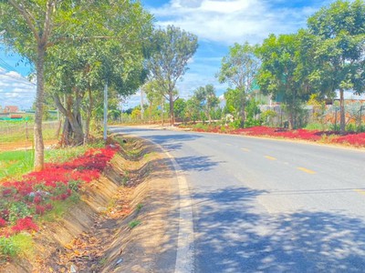 Gần 5 sào đất 2 mặt tiền ql27, liên hiệp đức trọng, gần mũi tàu... 1