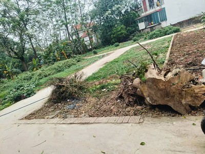 Cần bán mảnh đất 56,8m - 3 mặt tiền đường oto vào nhà tại trung châu   đan phượng   hà nội 1