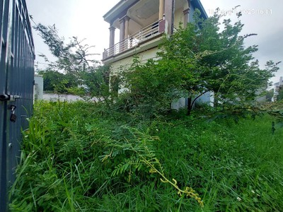 Chủ nhờ bán 625m2, mt27m, 16.9 tỷ. lô góc, ô tô tải, minh phú, sóc sơn. 1