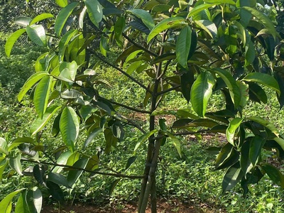 Hót   hót  hót   đất đẹp - giá tốt - vị trí tại : bảo quang - thành phố long khánh - tỉnh đồng nai 2