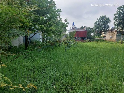 Chủ nhờ bán 625m2, mt27m, 16.9 tỷ. lô góc, ô tô tải, minh phú, sóc sơn. 2