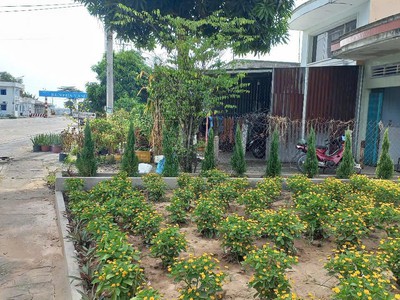 Sở hữu ngay nhà đẹp - giá tốt - vị trí đắc địa tại bến phà vàm cống, xã bình thành, h. lấp vò, đồng 1