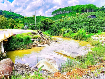Chính chủ bán đất cln tại xã b la, huyện bảo lâm,tỉnh lâm đồng 3