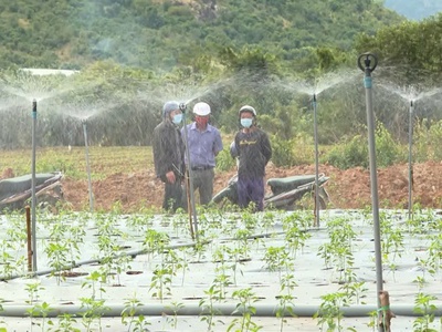 Cần bán đất thôn phú nhuận- xã mỹ sơn- huyện ninh sơn- tỉnh ninh thuận 0