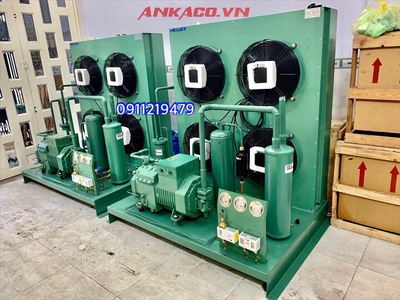 Lắp đặt cụm máy nén dàn ngưng Bitzer 15hp  4PES-15Y cho hệ thống lạnh công nghiệp 0