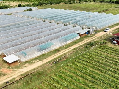 Cần bán đất thôn phú nhuận- xã mỹ sơn- huyện ninh sơn- tỉnh ninh thuận 2