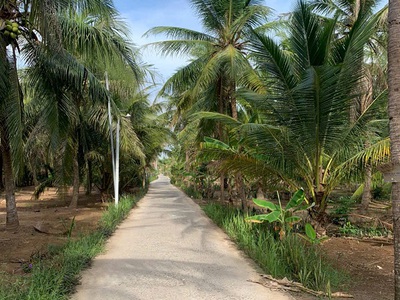 Chính chủ cần bán đất tại - bến tre 2