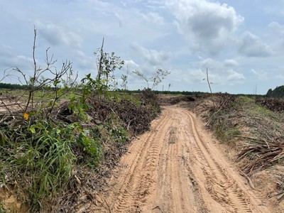 Bán 2014m2 đất 2 tân bình, thị xã lagi giá rẻ nhất chỉ 900 triệu sổ riêng 0